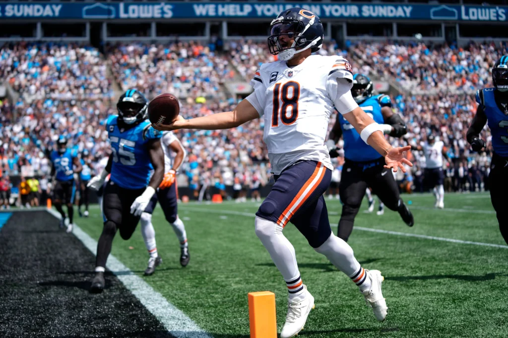 Bears vs Panthers